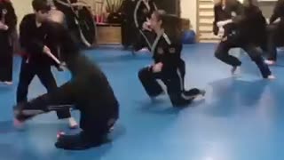 Hapkido