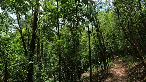 Hiking In Chiang Mai Thailand pt. 2