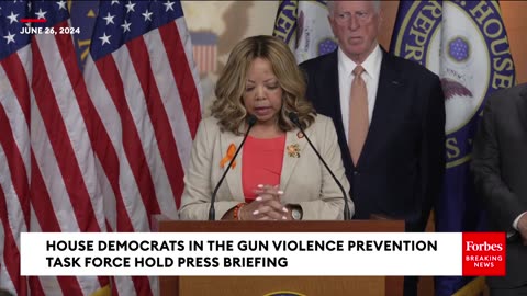 JUST IN- House Democrats In Gun Violence Prevention Task Force Hold Press Briefing
