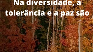 #tolerânciaepaz