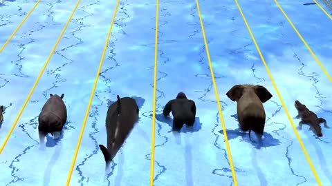 Wild Animals Swimming Race