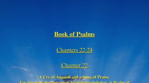 Christian Meme Video: Psalms Chapters 22 to 24 (03/10/2024)