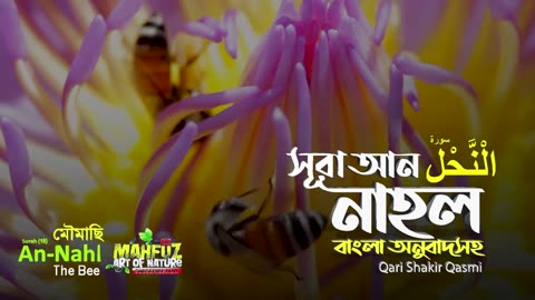 016 সর নহল Surah AnNahl bee سورة النحل অনবদ Qari Shakir Qasmi mahfuz art of nature_1080p