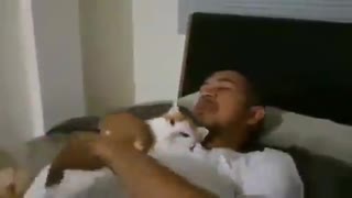 Cat cuddles hoomans