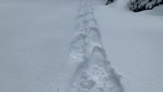 The Snow Keeps Eating My Trekking Poles – Central Oregon – Vista Butte Sno-Park – 4K