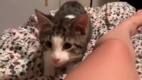 That little wiggle