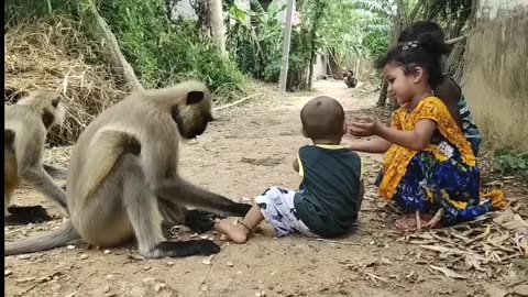 There is not definitions of Love . Monkey come . The kid come and meet freely . Part 2