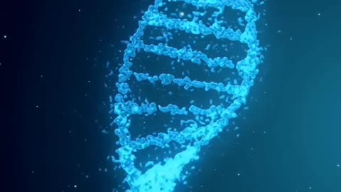 DNA working process