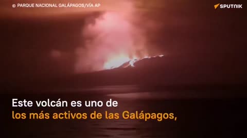La erupción del volcán La Cumbre, en las Islas Galápagos