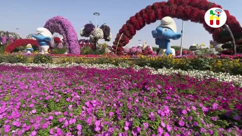 Dubai Miracle Garden #2022!