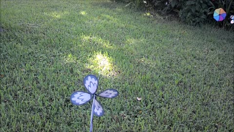 Saharan Dust in South Florida