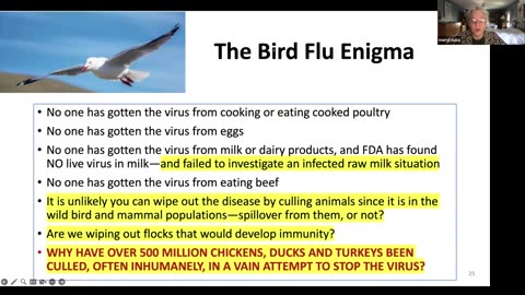 27 Years of Human Bird Flu, Vaccines, and Questions - Meryl Nass