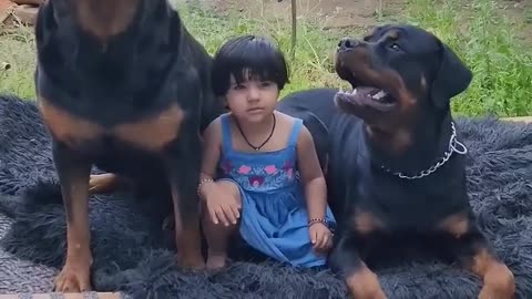 Rottville Dog save baby #viral #cutebaby #dog #pet #dogbaby #viral #rumble #shorts #animal #insta