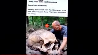 GIANT SKULL