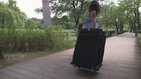 Transform Stroller to Carry-on Bag, Freely Carry Anywhere!
