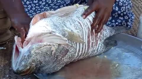 Cooking Most Delicious Village Fish