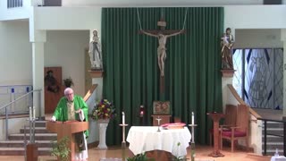 Homily for the 14th Sunday in Ordinary Time "A"