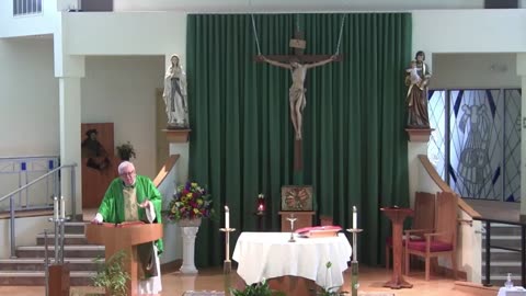 Homily for the 14th Sunday in Ordinary Time "A"