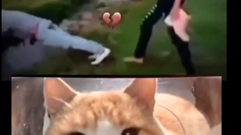 passing through #cat #funny #мем #memes #humor #мемы #trending #trendingshorts #shorts #short