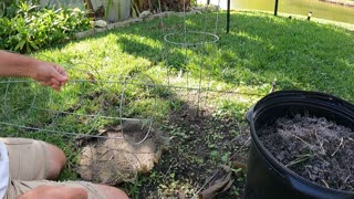 Tomato Cage Hack