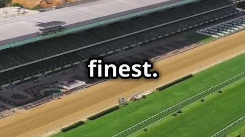 Belmont Stakes 2024: Highlights | Triple Crown | Horse Racing |