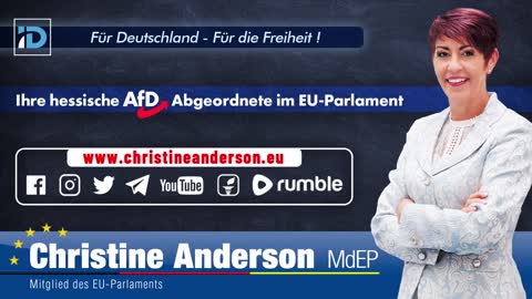 MEP Christine Anderson: 🇨🇦 🇺🇸 🇬🇧 🇦🇺 What you call 'defense of democracy' is ideological Bullshit! - My speech given this week on the "Human Rights Report 2022" in the EU Parliament: