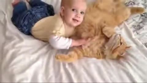😻 Funny Cat Video |Funny Animal Video😆 |🤔Cute Catl#Clips #popular #