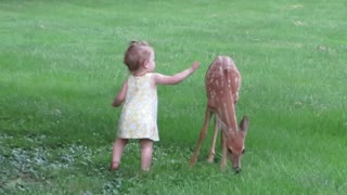 Kate made a new friend tonight! (Kate meets Bambi)