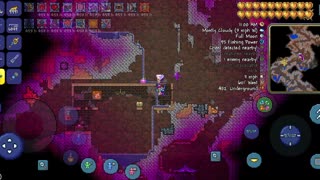 Terraria secret seed: no traps