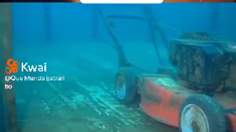 THE WEIRDEST THINGS FILMED AND FOUND AT THE BOTTOM OF THE SEA WATCH THE VIDEO AND SHARE