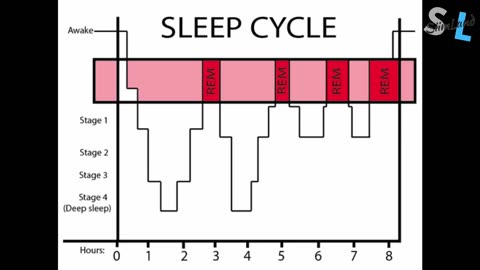 I Slept for 4 Hours a Day for 100 Days - My Polyphasic Sleep Experiment