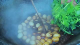 survival in the rainforest-found eggs with vegetables for cook & give to pets HD