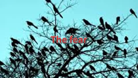 the fear