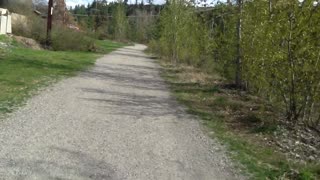 Exploring Mission Creek In Kelowna BC