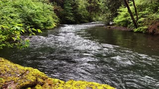SOOTHING PEACEFUL SILENCE | Shoreline Perspective of South Santiam River! | Central Oregon | 4K