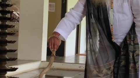 Sadhguru Handles a Cobra - Shorts