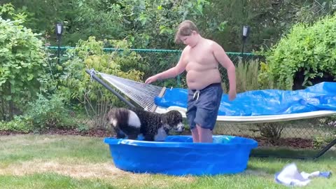 Funny Videos - Summer Vacation FAILS - Try Not To Laugh 😆😆
