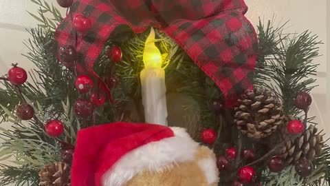 Christmas Decoration | Easy& Beatiful | DIY Ideas