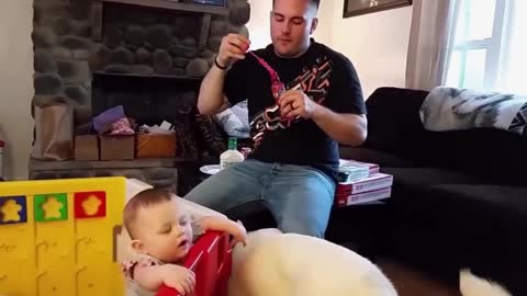 Funny Babies and pets