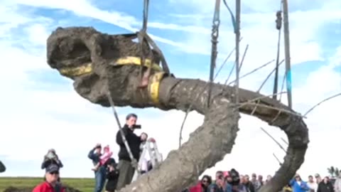 A FARMER IN THE 1950’S FOUND A WOOLLY MAMMOTH SKULL UNDERNEATH HIS FARM