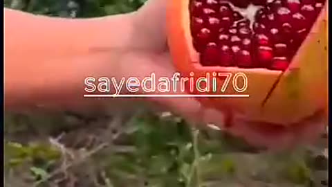 Ninja fruit cutting video