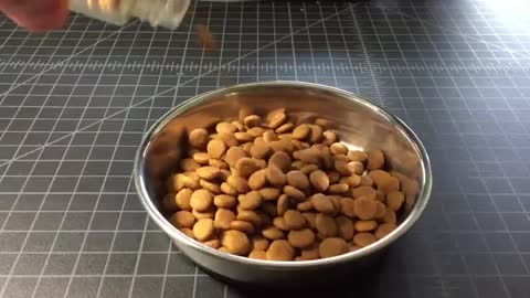 STRANGE CAT FOOD, YOU CAN'T BELIEVE !