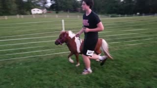 Trotting in the field 101