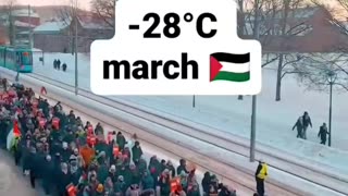 Pro-Palestinian March in Oslo, Norway