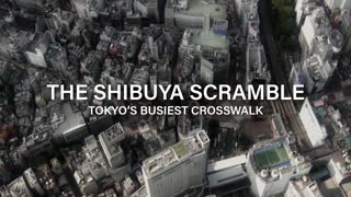Shibuya Scramble - Official Trailer