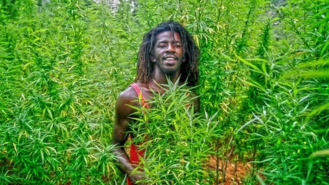 Ganja Farmer 🍀 Marlon Asher