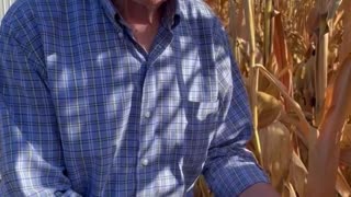 CHUCK GRASSLEY CORNWATCH COMMS ‘HARVEST IN A FEW WEEKS THE FINAL STAGE !