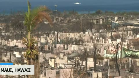 Watch: Hawaii's Lahaina devastated after fires