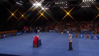 National Dog Show 2022: Toy Group (Full Judging)