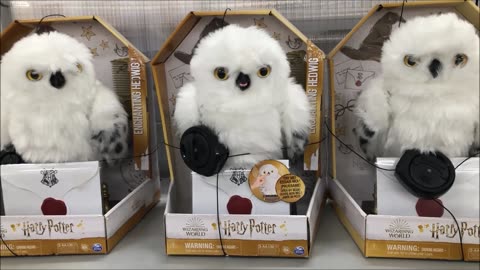 Harry Potter Enchanting Hedwig To